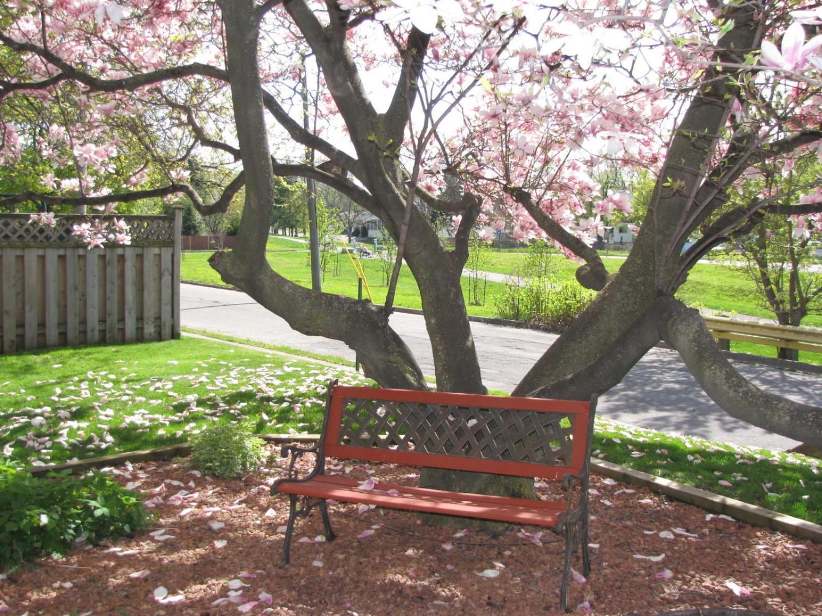 Strathaird Bed And Breakfast Niagara Falls Luaran gambar
